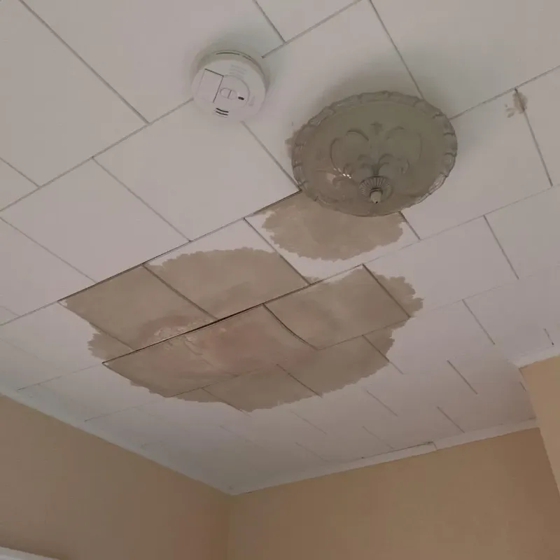 Ceiling Water Damage Repair in Pannill Fork, VA