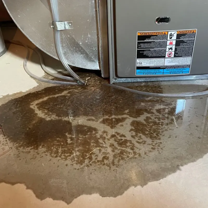 Pipe Burst and Leak Restoration in Pannill Fork, VA