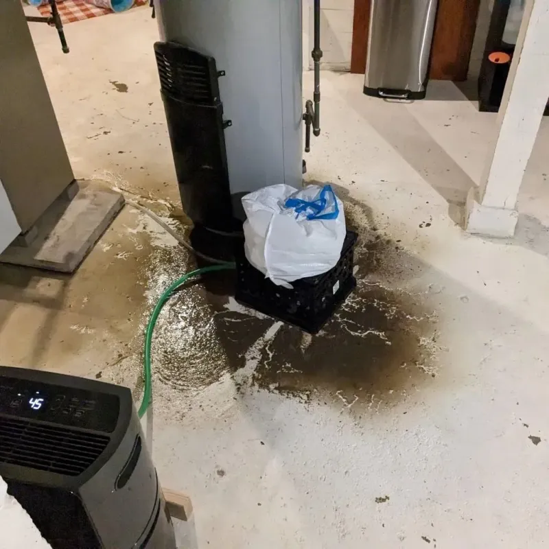 Sewage Backup Cleanup Service in Pannill Fork, VA